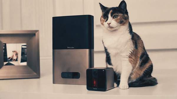 Editorial illustration for Five Pet Tech Categories That Genuinely Earn Their Place in Your Home
